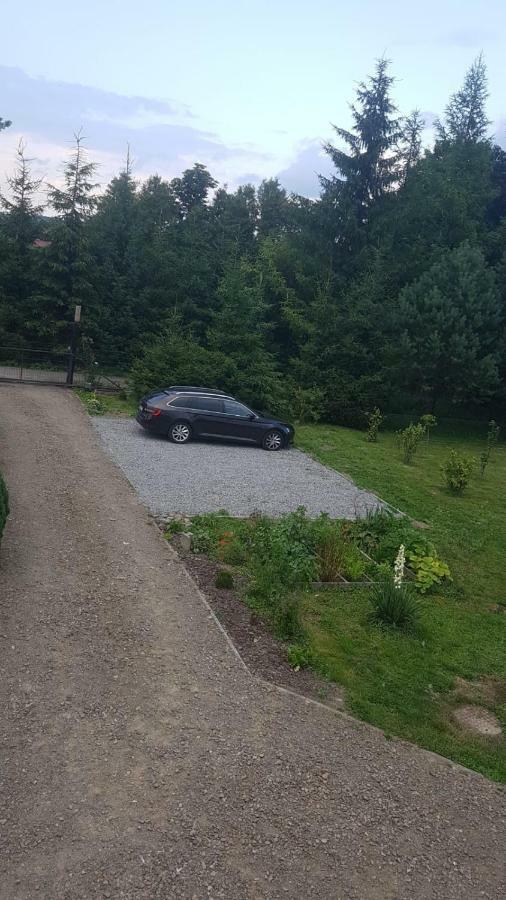 Domki Bieszczady Villa Uherce Mineralne Exterior foto